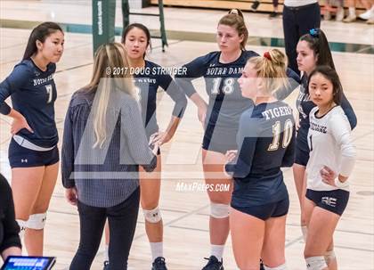 Thumbnail 2 in CCS Div4 Girls Volleyball Championship (Sacred Heart Prep vs. Notre Dame) photogallery.