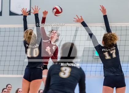 Thumbnail 2 in CCS Div4 Girls Volleyball Championship (Sacred Heart Prep vs. Notre Dame) photogallery.