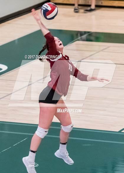 Thumbnail 3 in CCS Div4 Girls Volleyball Championship (Sacred Heart Prep vs. Notre Dame) photogallery.