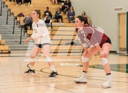 Thumbnail 2 in CCS Div4 Girls Volleyball Championship (Sacred Heart Prep vs. Notre Dame) photogallery.