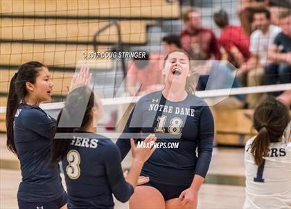 Thumbnail 1 in CCS Div4 Girls Volleyball Championship (Sacred Heart Prep vs. Notre Dame) photogallery.