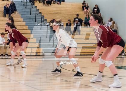 Thumbnail 1 in CCS Div4 Girls Volleyball Championship (Sacred Heart Prep vs. Notre Dame) photogallery.