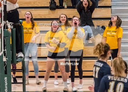 Thumbnail 1 in CCS Div4 Girls Volleyball Championship (Sacred Heart Prep vs. Notre Dame) photogallery.