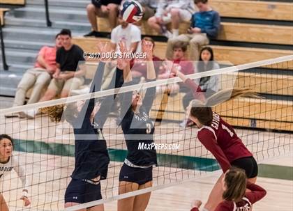 Thumbnail 2 in CCS Div4 Girls Volleyball Championship (Sacred Heart Prep vs. Notre Dame) photogallery.