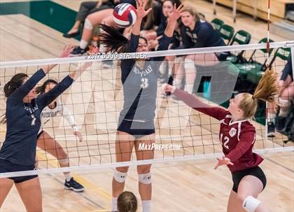 Thumbnail 2 in CCS Div4 Girls Volleyball Championship (Sacred Heart Prep vs. Notre Dame) photogallery.