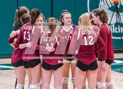 Thumbnail 3 in CCS Div4 Girls Volleyball Championship (Sacred Heart Prep vs. Notre Dame) photogallery.