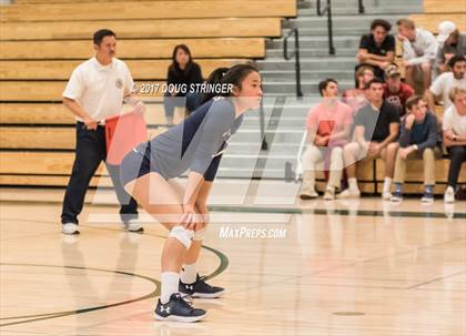 Thumbnail 3 in CCS Div4 Girls Volleyball Championship (Sacred Heart Prep vs. Notre Dame) photogallery.