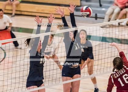 Thumbnail 1 in CCS Div4 Girls Volleyball Championship (Sacred Heart Prep vs. Notre Dame) photogallery.