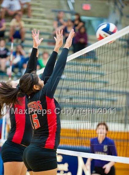 Thumbnail 1 in Stevens @ Warren photogallery.
