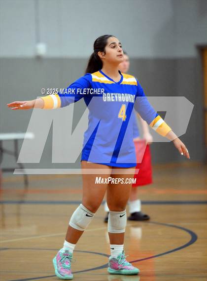 Thumbnail 1 in Lake Brantley @ Lyman photogallery.