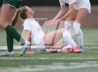 Thumbnail 3 in Regis Jesuit @ Mountain Vista photogallery.