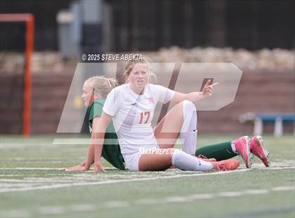 Thumbnail 3 in Regis Jesuit @ Mountain Vista photogallery.