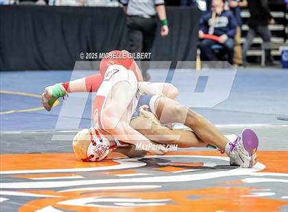 Thumbnail 1 in NYSPHSAA Division 2 State Championships (Quarters & Wrestlebacks 110 to 124) photogallery.