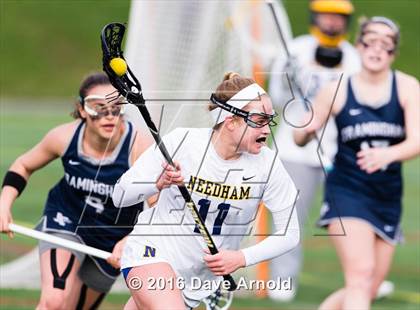 Thumbnail 1 in Framingham @ Needham photogallery.