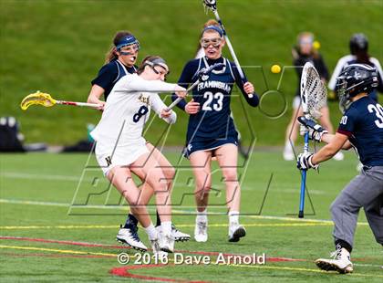 Thumbnail 1 in Framingham @ Needham photogallery.