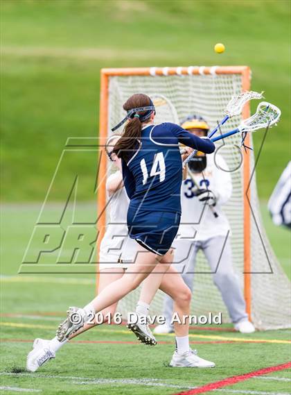 Thumbnail 1 in Framingham @ Needham photogallery.