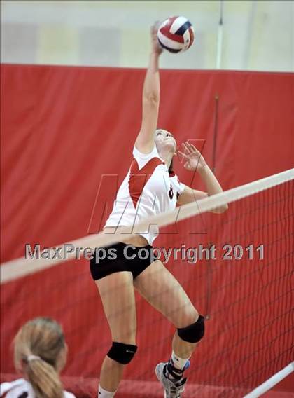 Thumbnail 2 in Alta Loma vs Mayfield (Molten Classic) photogallery.