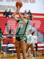 Photo from the gallery "Cypress Falls @ Cypress Woods"