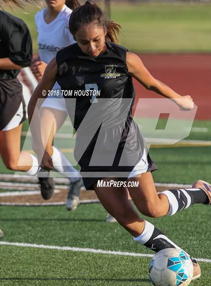 Thumbnail 1 in Gabrielino @ Northview photogallery.