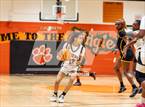Photo from the gallery "Pine Forest @ South View"