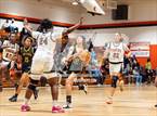 Photo from the gallery "Pine Forest @ South View"