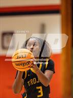 Photo from the gallery "Pine Forest @ South View"