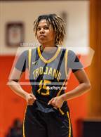 Photo from the gallery "Pine Forest @ South View"
