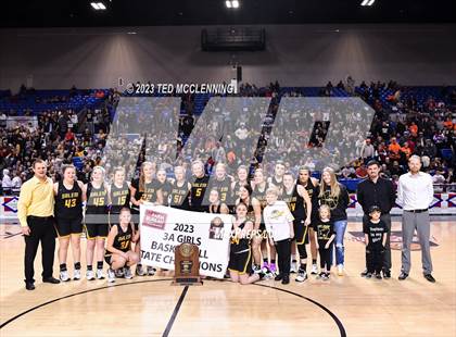 Thumbnail 3 in Lamar vs. Salem (AAA 3A State Final) photogallery.
