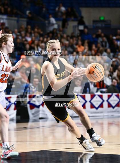 Thumbnail 3 in Lamar vs. Salem (AAA 3A State Final) photogallery.