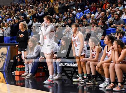 Thumbnail 3 in Lamar vs. Salem (AAA 3A State Final) photogallery.