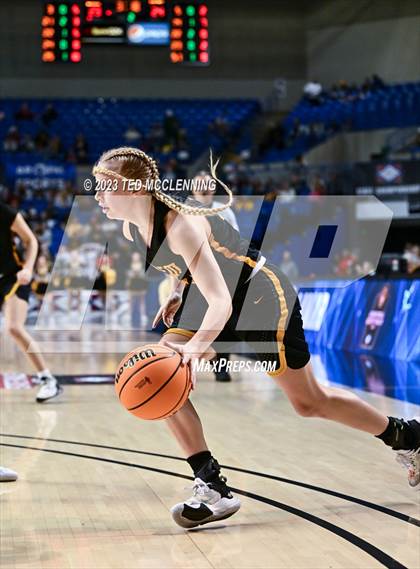 Thumbnail 1 in Lamar vs. Salem (AAA 3A State Final) photogallery.