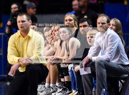 Thumbnail 1 in Lamar vs. Salem (AAA 3A State Final) photogallery.