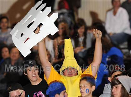 Thumbnail 1 in Wilson @ Charter Oak photogallery.