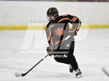 Thumbnail 3 in Iona Prep vs. Ridgefield (Carrano Cup Final) photogallery.