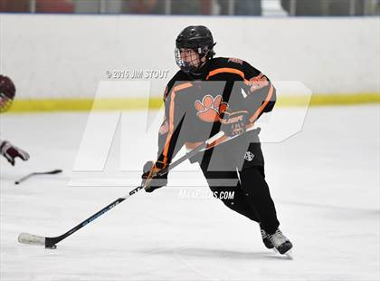 Thumbnail 2 in Iona Prep vs. Ridgefield (Carrano Cup Final) photogallery.