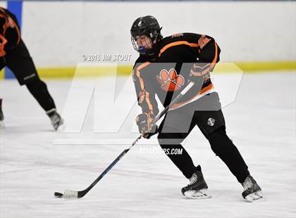 Thumbnail 1 in Iona Prep vs. Ridgefield (Carrano Cup Final) photogallery.