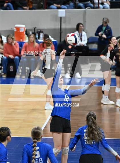 Thumbnail 1 in Sargent vs. Evangel Christian Academy (CHSAA 1A 1ST ROUND) photogallery.