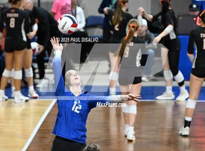 Thumbnail 2 in Sargent vs. Evangel Christian Academy (CHSAA 1A 1ST ROUND) photogallery.