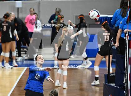 Thumbnail 1 in Sargent vs. Evangel Christian Academy (CHSAA 1A 1ST ROUND) photogallery.