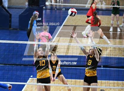 Thumbnail 1 in Sargent vs. Evangel Christian Academy (CHSAA 1A 1ST ROUND) photogallery.