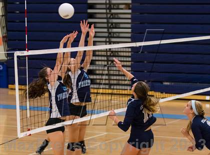 Thumbnail 1 in South County @ Yorktown photogallery.