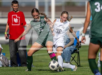 Thumbnail 1 in Cedar Valley @ Copper Hills photogallery.