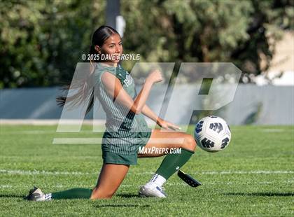 Thumbnail 2 in Cedar Valley @ Copper Hills photogallery.