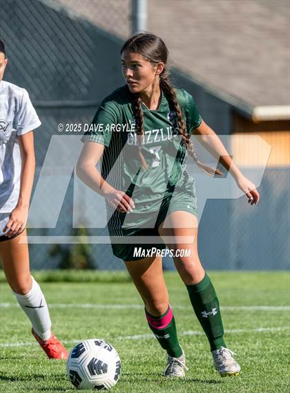Thumbnail 3 in Cedar Valley @ Copper Hills photogallery.