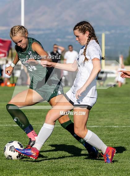 Thumbnail 1 in Cedar Valley @ Copper Hills photogallery.