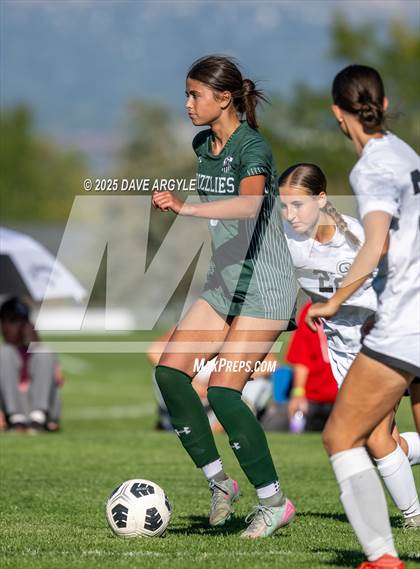 Thumbnail 3 in Cedar Valley @ Copper Hills photogallery.