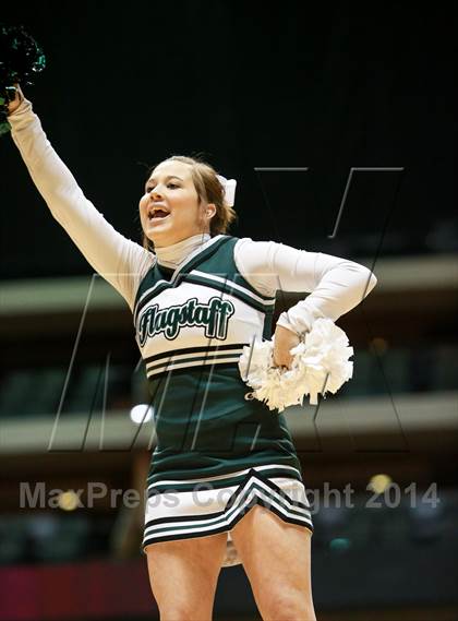 Thumbnail 3 in Shadow Mountain vs. Flagstaff (AIA D2 Final) photogallery.