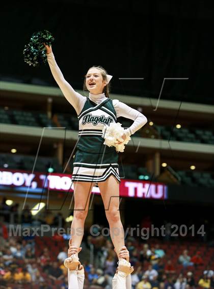 Thumbnail 3 in Shadow Mountain vs. Flagstaff (AIA D2 Final) photogallery.