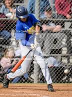 Photo from the gallery "Muir @ Arcadia"