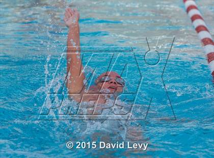 Thumbnail 2 in Hamilton @ Basha photogallery.